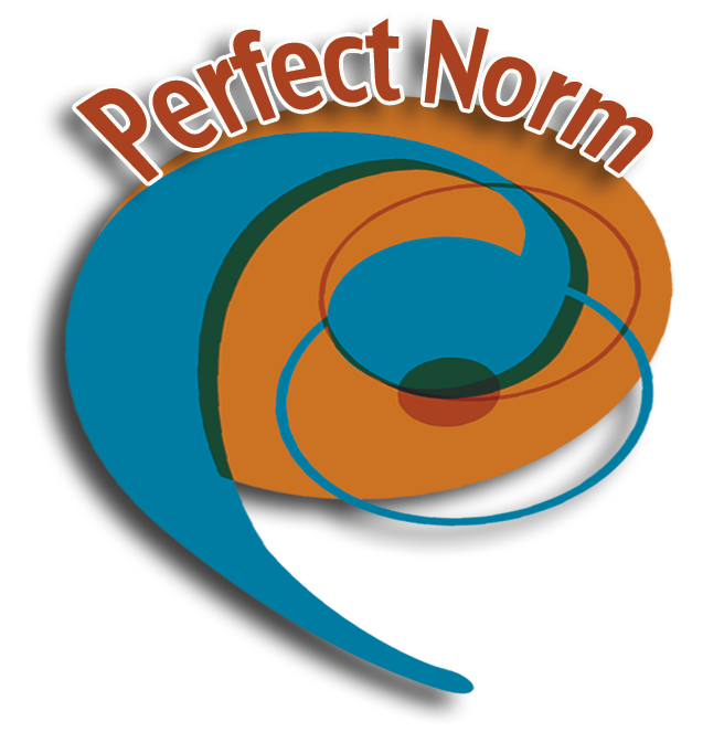 Perfect Norm Logo